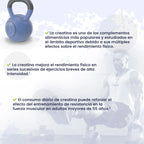 Creatina Excell en cápsulas HSN: información del fabricante