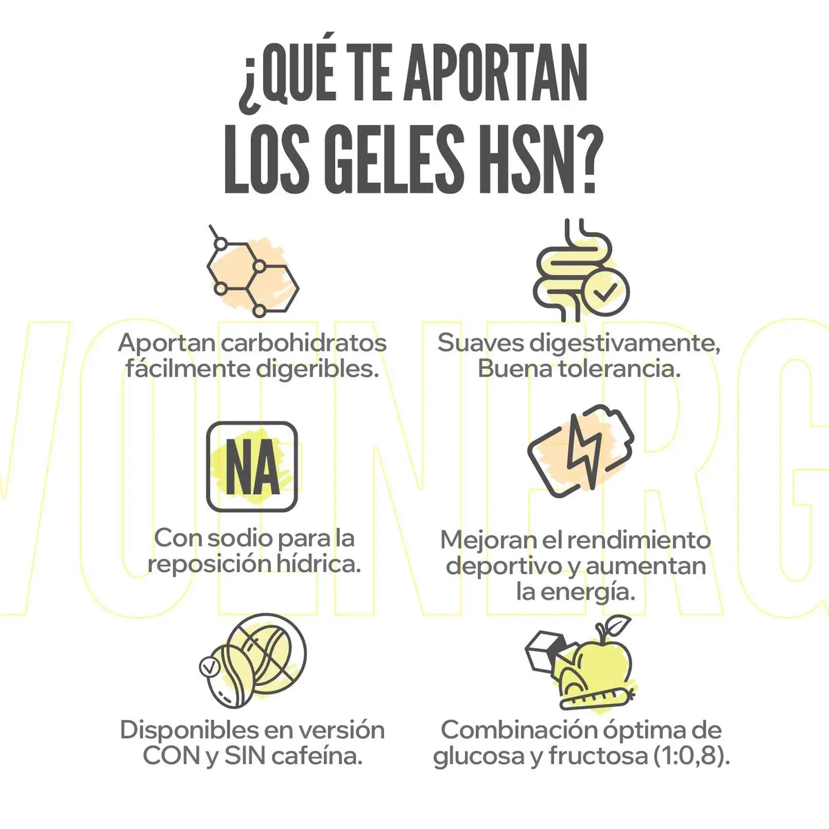 Comparativa de geles Evoenergy