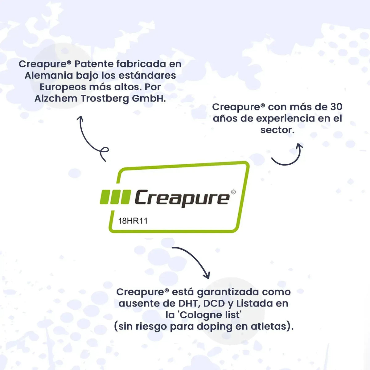 Creatina Excell (100% Creapure®) en polvo